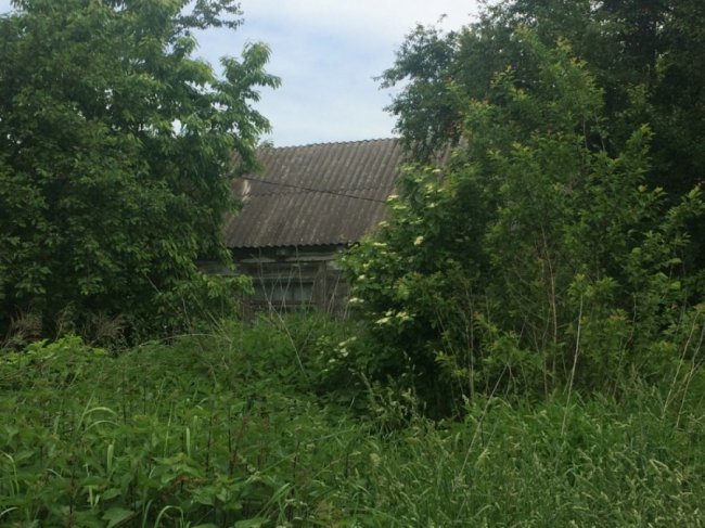 Колись людне село на Волині перетворилось на хутір, де проживає лише дві людини. ФОТО