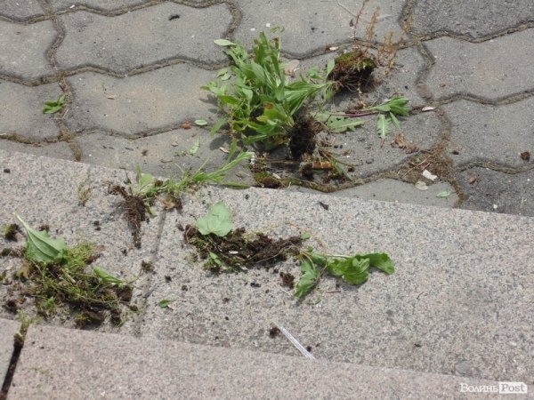 До приїзду Філарета планують прибрати центр Луцька. ФОТО