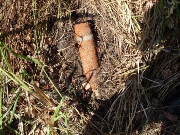 Збирала гриби – знайшла снаряд