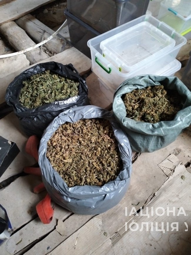 Наркотичні смаколики: подружжя з Луцького району замасковували психотропи в кондитерські вироби