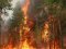 На Львівщині внаслідок падіння уламків збитого безпілотника загорівся майже 1 га лісу