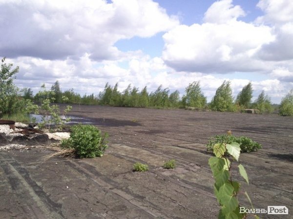 Повітряний ліс на луцькому будинку. ФОТО