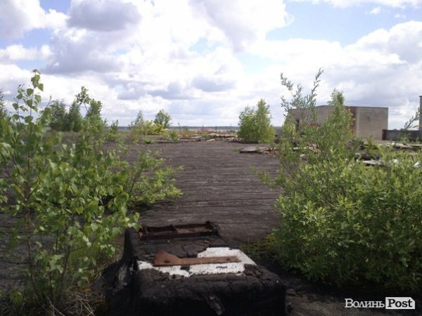 Повітряний ліс на луцькому будинку. ФОТО