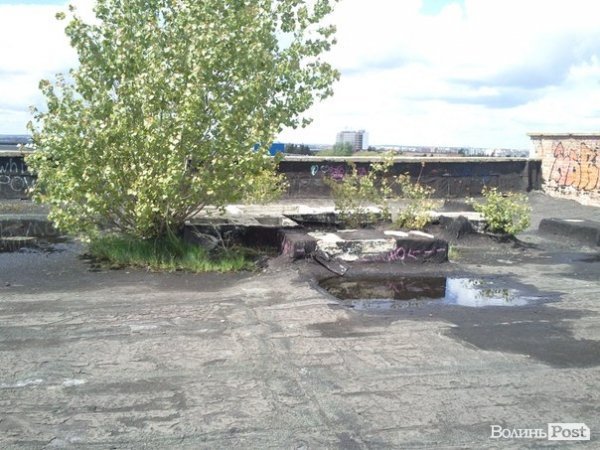 Повітряний ліс на луцькому будинку. ФОТО