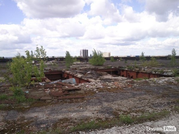 Повітряний ліс на луцькому будинку. ФОТО