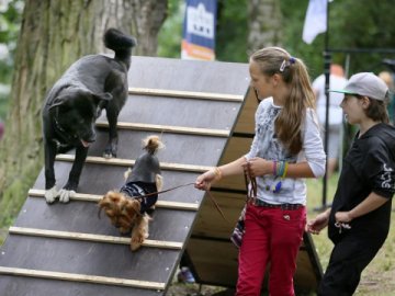 У луцькому сквері з’являться тренажери для собак