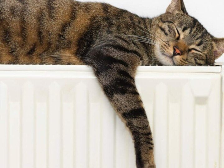 Тепло - в домівки: скільки будинків у Луцьку залишаються без опалення