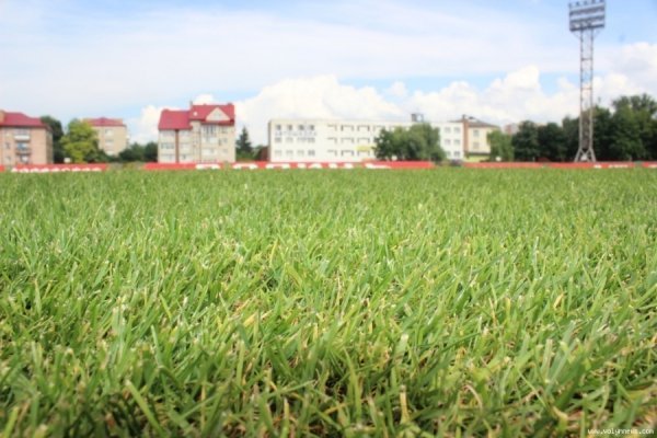 Луцький «Авангард» показали зсередини. ФОТО