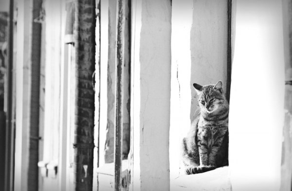 Фотовиставка Уляни Макар