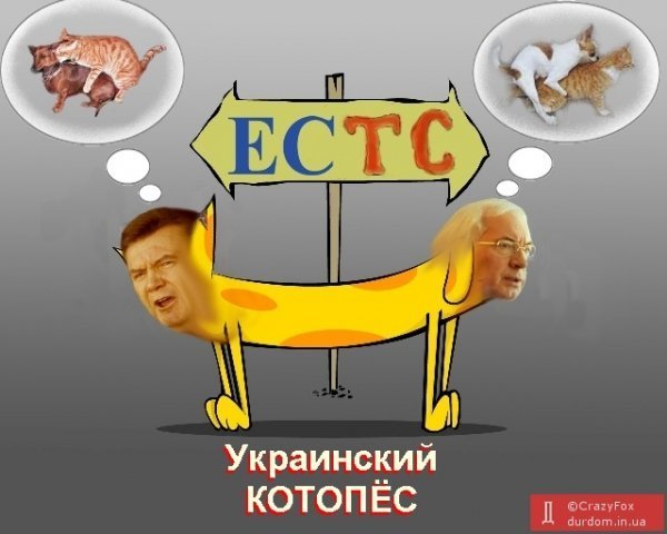 Янукович в Обами, кіт-пес Азаров і самогубець Табачник, – фотожаби тижня