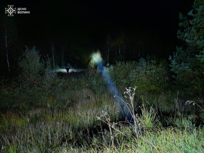 Пішла за грибами: на Волині у лісі заблукала 68-річна жінка