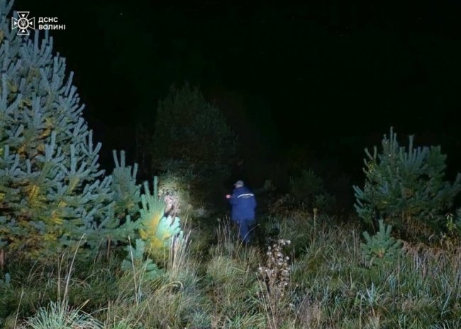 Пішла за грибами: на Волині у лісі заблукала 68-річна жінка