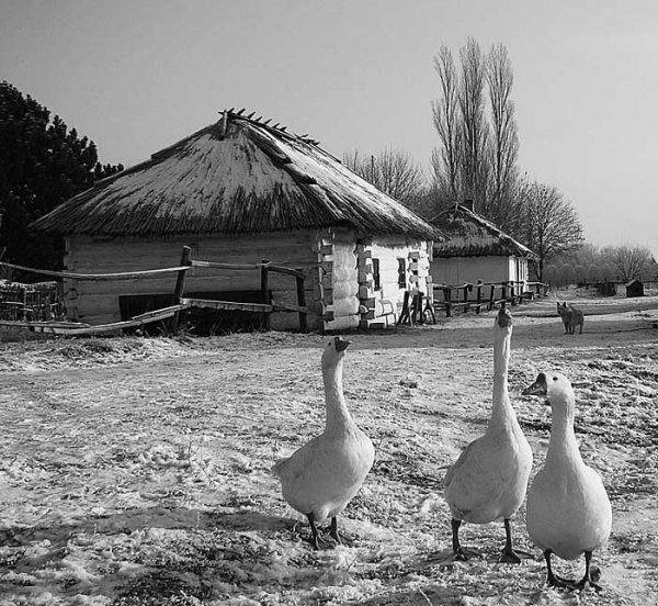 Фотовиставка Сергія Палька
