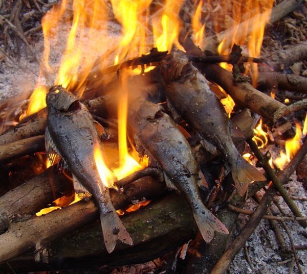 Сніданок рибалки