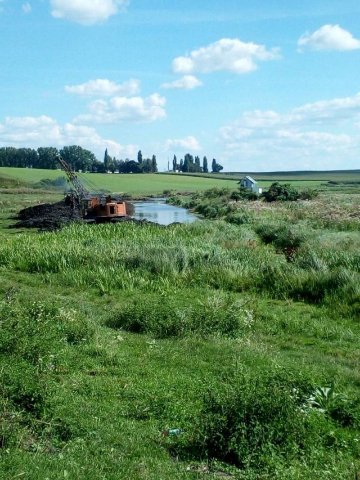 У селі на Волині «полікували» ставок. ФОТО
