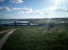 У селі на Волині «полікували» ставок. ФОТО