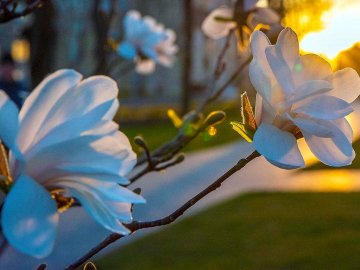 Якою буде погода у Луцьку завтра, 14 травня