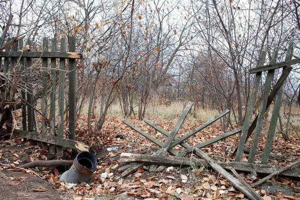 Один день із «Чорним Тюльпаном». ФОТО