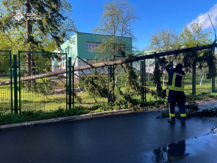 Повалені дерева та пошкодження будівель: наслідки негоди на Волині ліквідовували рятувальники. ФОТО