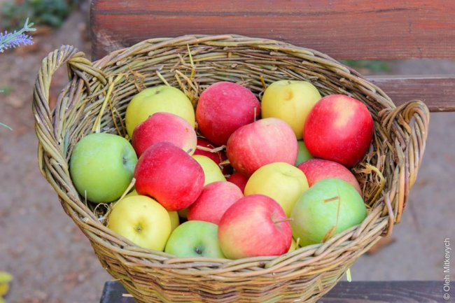 Луцький фотограф показав красу осені