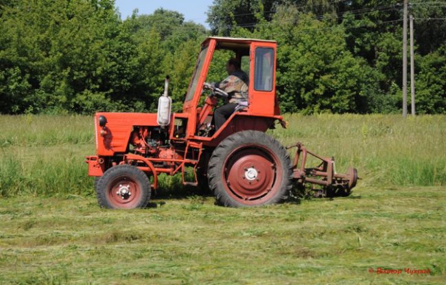 Волинський фотограф зафіксував покоси на Гнідавському лужку