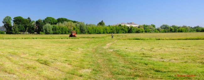 Волинський фотограф зафіксував покоси на Гнідавському лужку