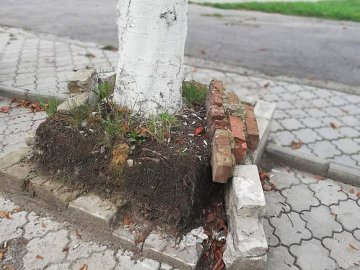 Безлад і зупинка без скла: лучани обурені роботою комунальників. ФОТО