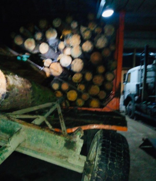 У селі на Волині, де незаконно рубали ліс, люди збунтували проти поліції. ФОТО