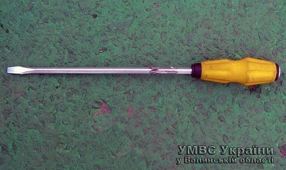 У Ковелі затримали серійного «квартирника». ФОТО