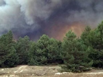 На Херсонщині під час стрільб сталася пожежа на полігоні