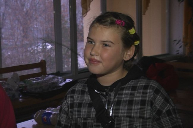 Для безпритульних тварин у Луцьку встановлюють будиночки із пластикових пляшок