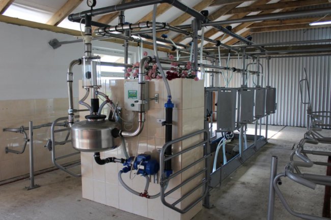 На Волині відкрили перші сімейні молочні ферми. ФОТО