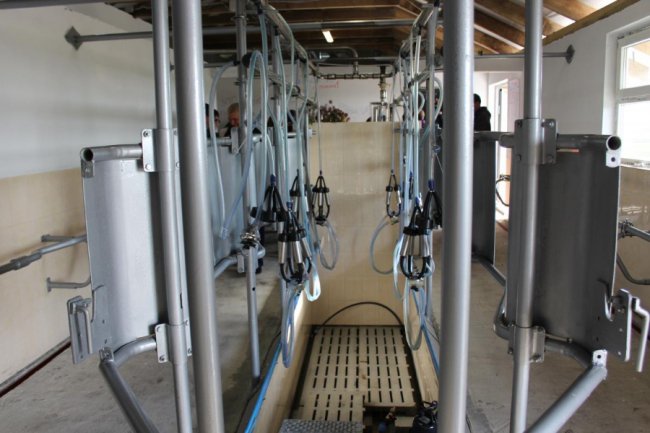На Волині відкрили перші сімейні молочні ферми. ФОТО