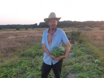 Не з Херсона, а з Хутомира: у селі на Волині вирощують кавуни