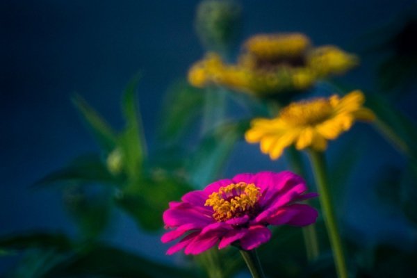 Фотовиставка Олега Гордіюка