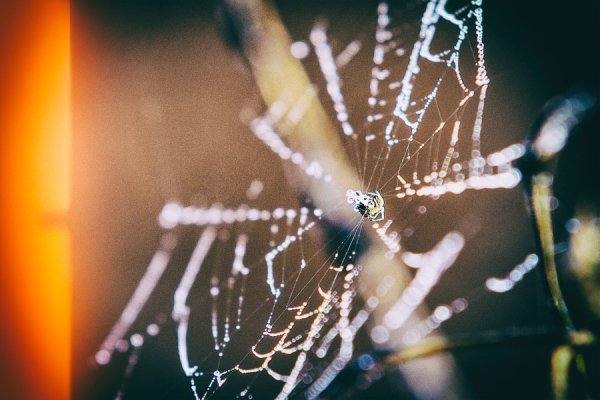 Фотовиставка Олега Гордіюка