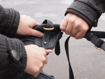 Волинянина пограбували посеред вулиці