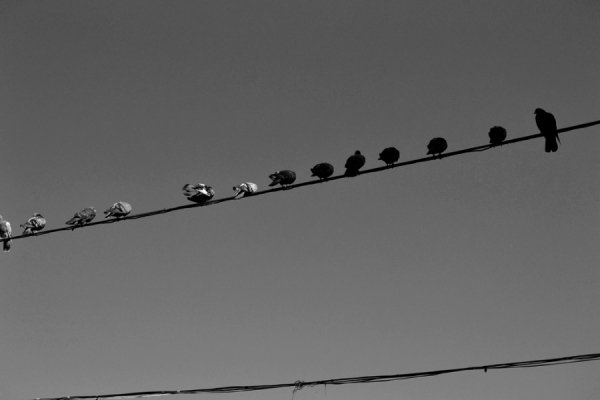 Фотовиставка Ольги Кошелєвої