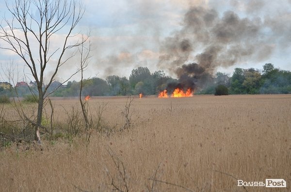Пожежа очерету на Гнідаві. ФОТО. ВІДЕО