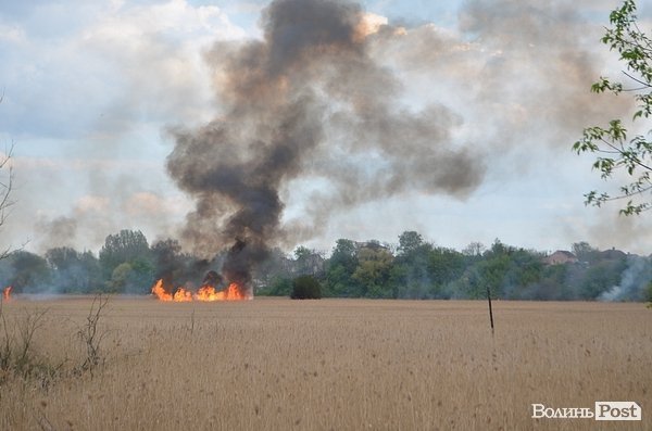 Пожежа очерету на Гнідаві. ФОТО. ВІДЕО