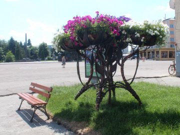 У місті на Волині встановили клумби для вертикального озеленення. ФОТО