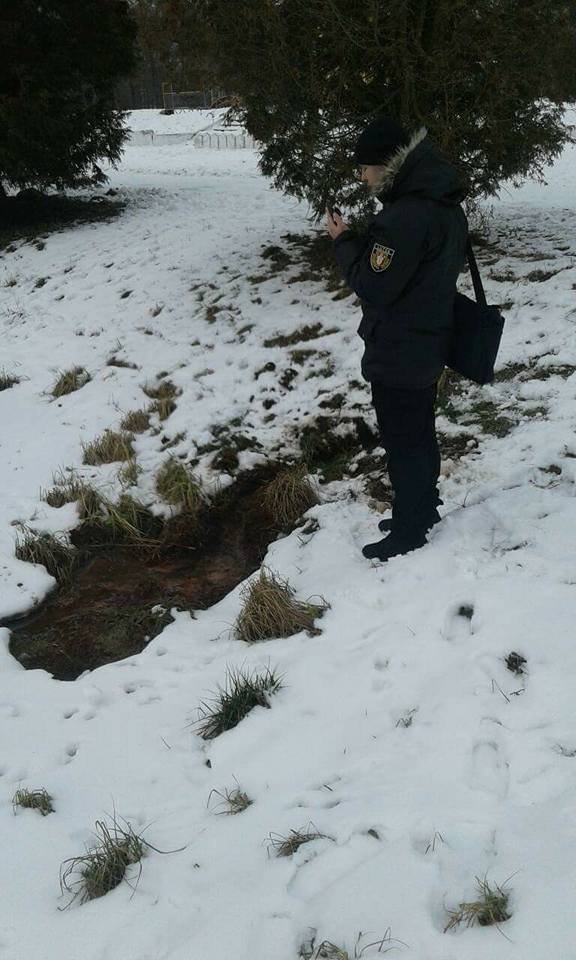 У канаву в луцькому парку стікає підозріла жовта речовина. ФОТО