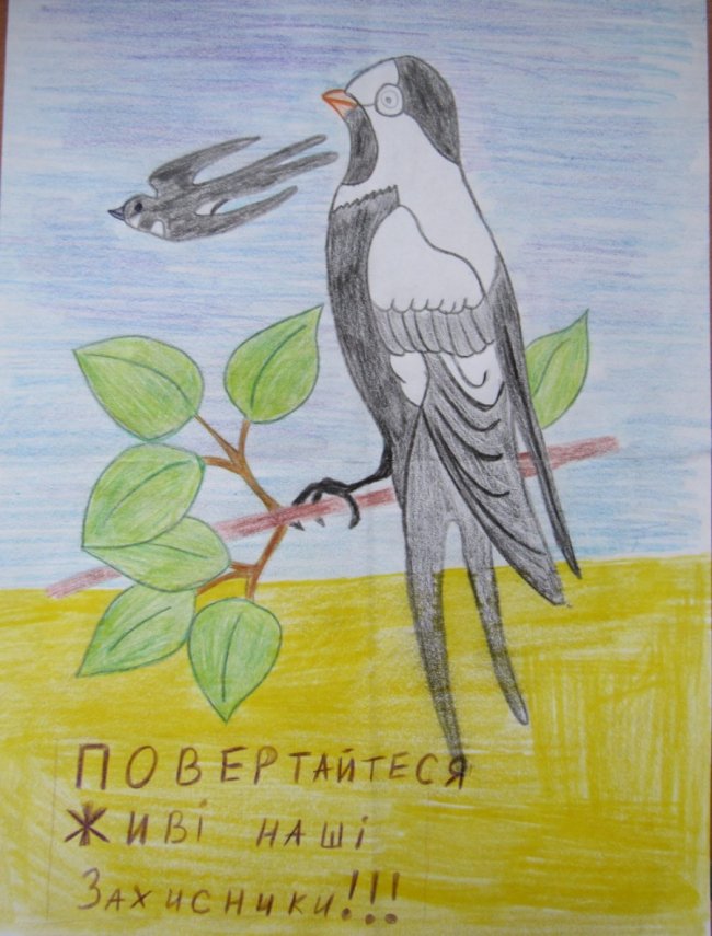 Листи солдату: діти з Волині відправили малюнки на передову