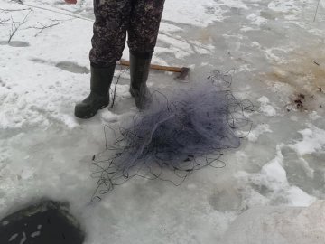 З волинського озера вилучили пів кілометра браконьєрських сіток. ФОТО