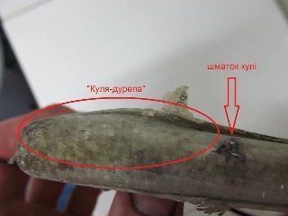 «Самооборона» випробувала «волинський народний бронежилет». ФОТО. ВІДЕО