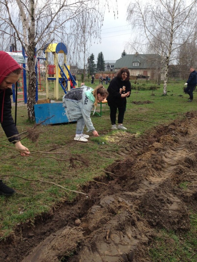 У Прилуцькому створили новий сквер, де висадили понад 600 саджанців