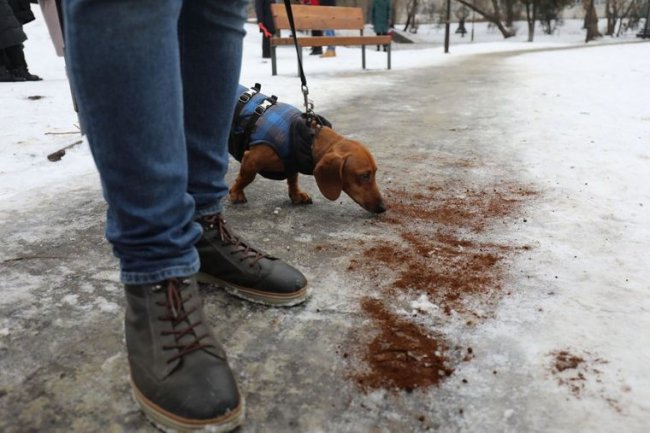 У Львові комунальники обробляли зледенілі доріжки кавовою гущею. ФОТО