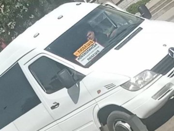 На Волині водій маршрутки нахамив військовому: його обіцяють покарати, а перевізника –  перевірити