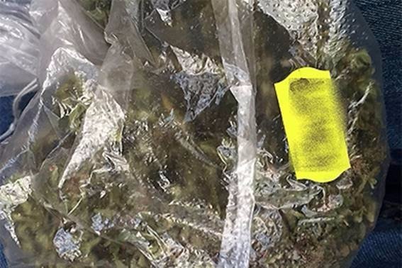 На Волині сімейна пара організувала наркобізнес. ФОТО