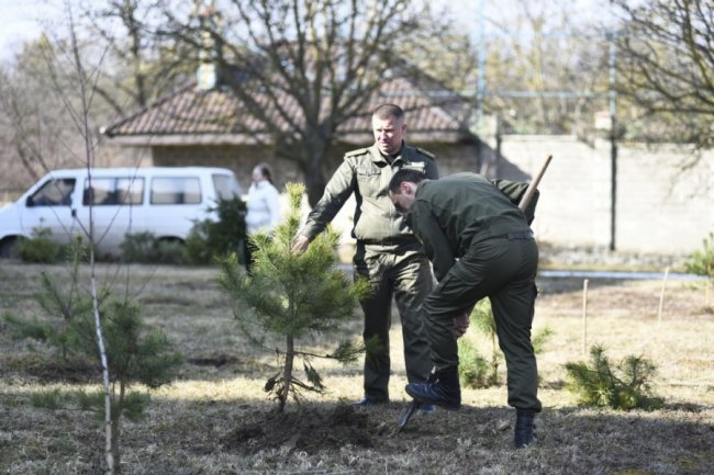 Біля лікарні у Боголюбах посадили парк для реабілітації українських воїнів. ФОТО